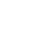 Core values icon